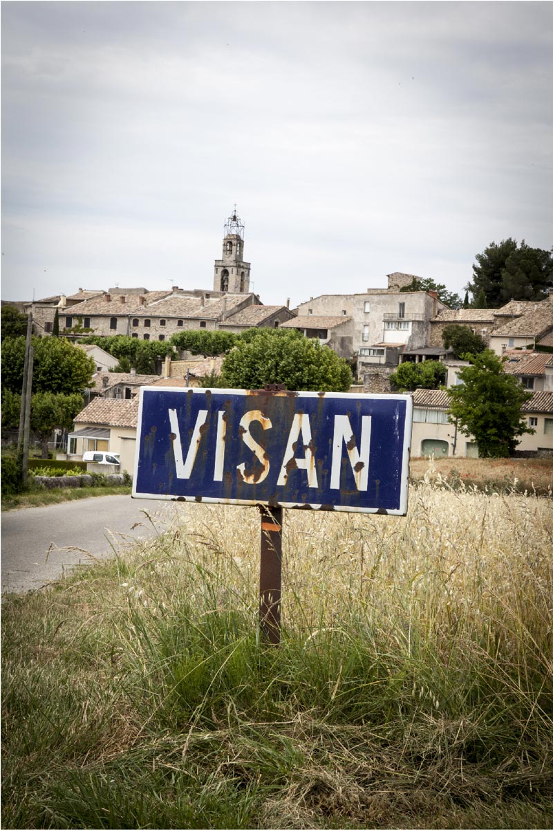 LE VIGNOBLE