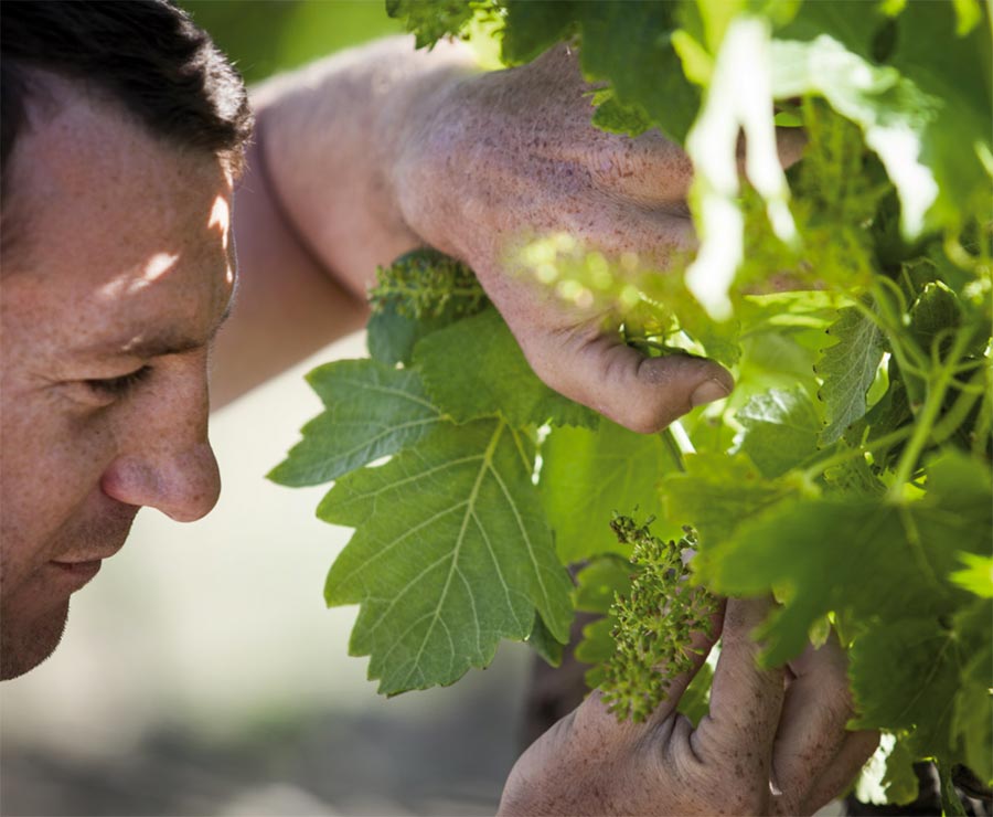 Domaine La Florane