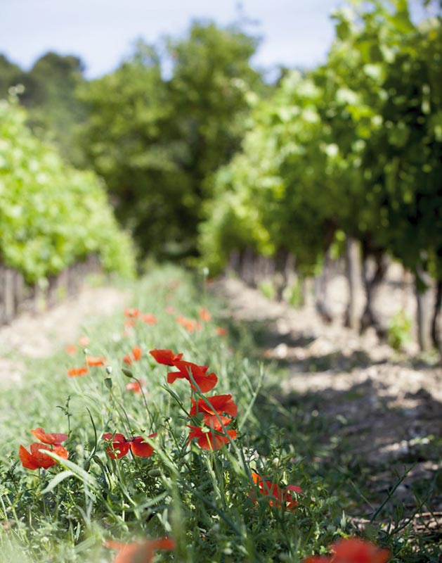 Domaine La Florane